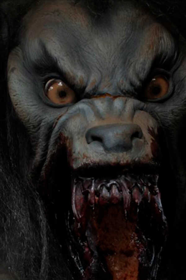 Halloween - Desaparecida (2021) 0