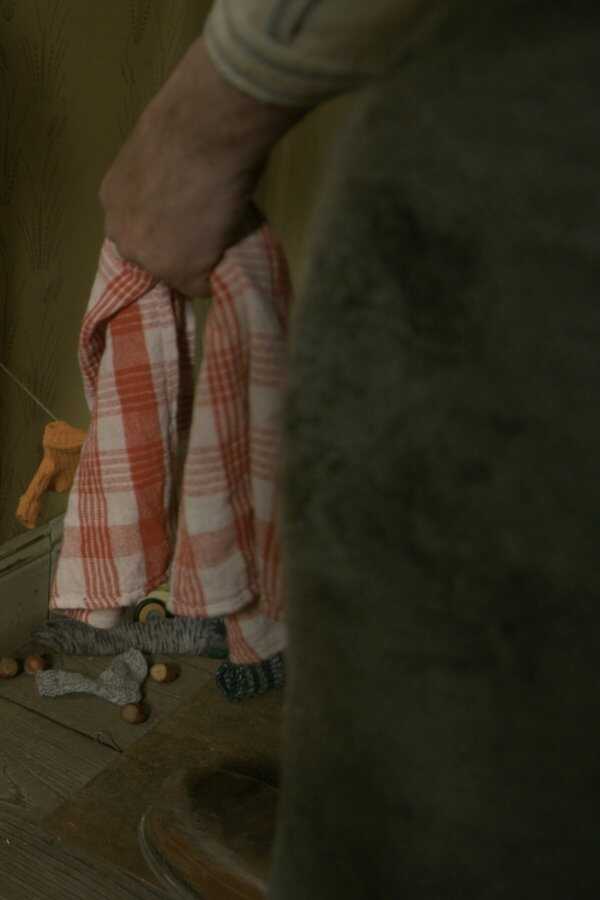 Pettson and Findus: Findus Moves House (2018) 0