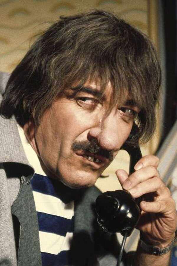 The Pink Panther Strikes Again (1976) 0