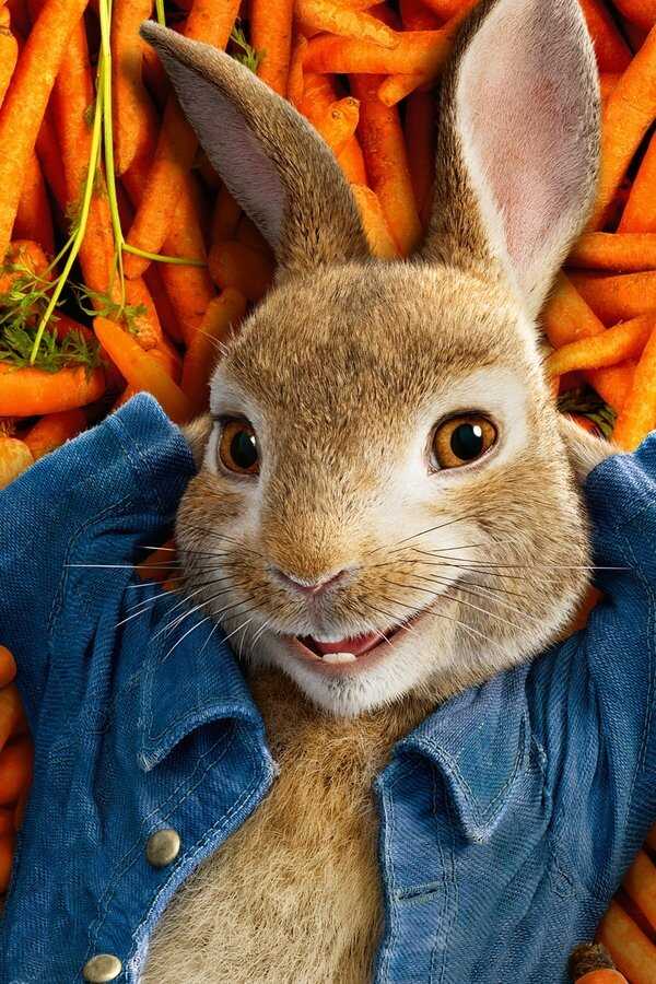 Peter Rabbit (2018) 0