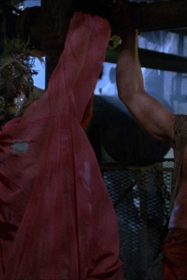 El infierno vuelve a Frogtown (1988) 0