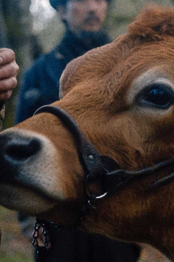 First Cow (2020) 0