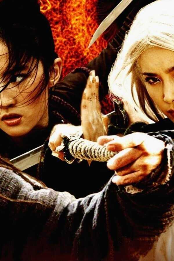 The Forbidden Kingdom (2008) 0