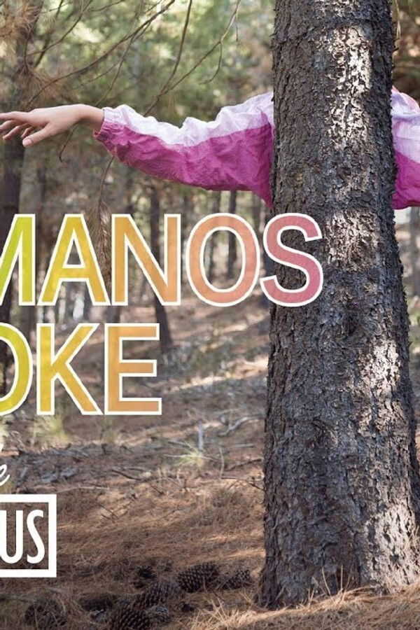 Los hermanos karaoke (2017) 0