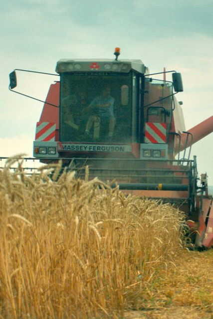 In the Name of the Land (2019) 0