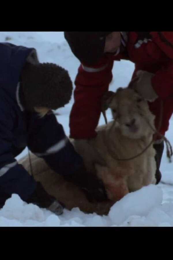 Duggholufólkið (2007) 0