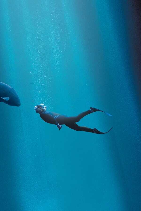 Blueback : Une Amitié Sous-Marine (2022) 0