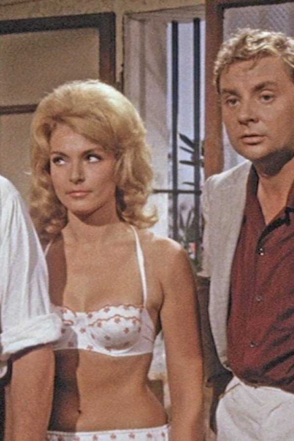 Ohne Krimi geht die Mimi nie ins Bett (1962) 0