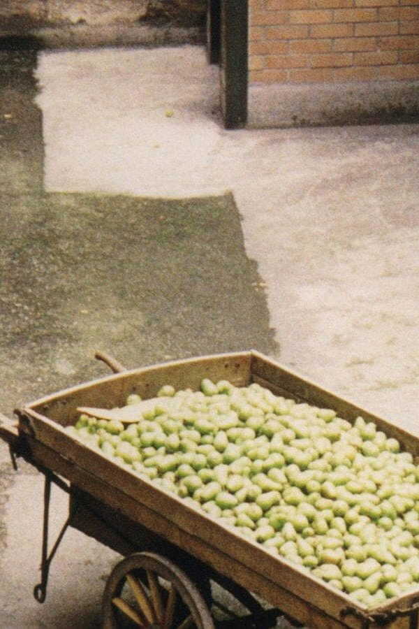 Händler der vier Jahreszeiten (1972) 0