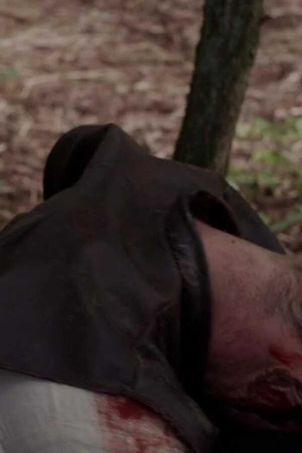 The Lost Viking (2018) 0