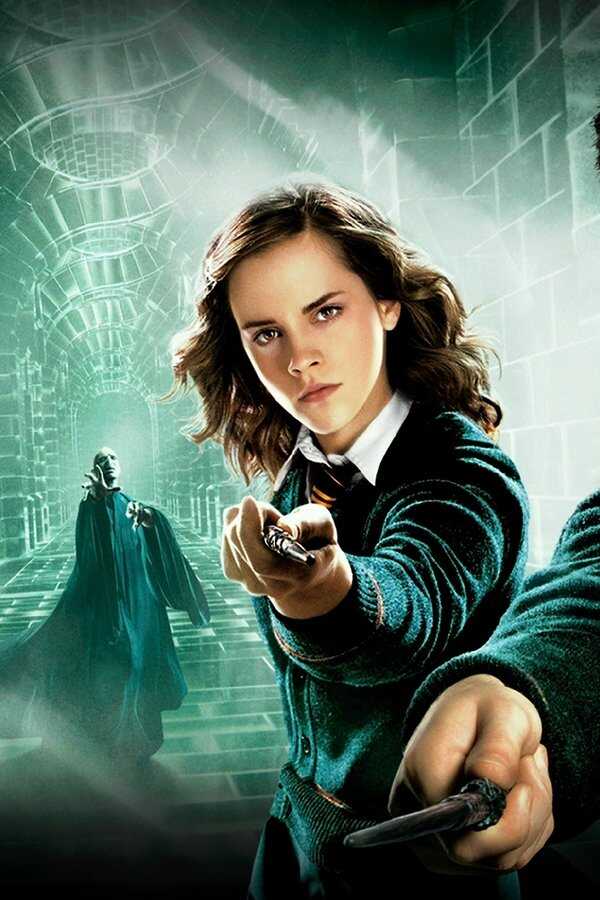 Harry Potter et l'Ordre du Phénix (2007) 0