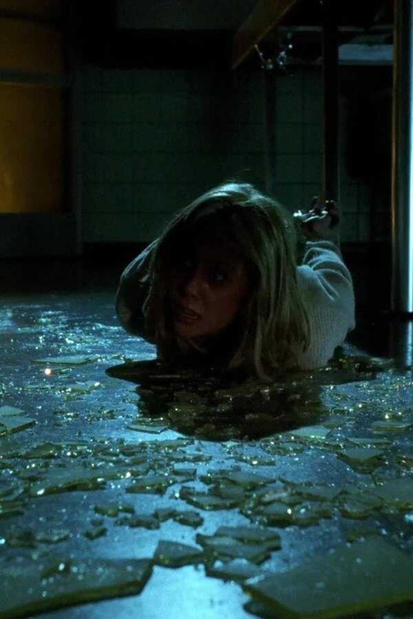 Nightwatch (1994) 0