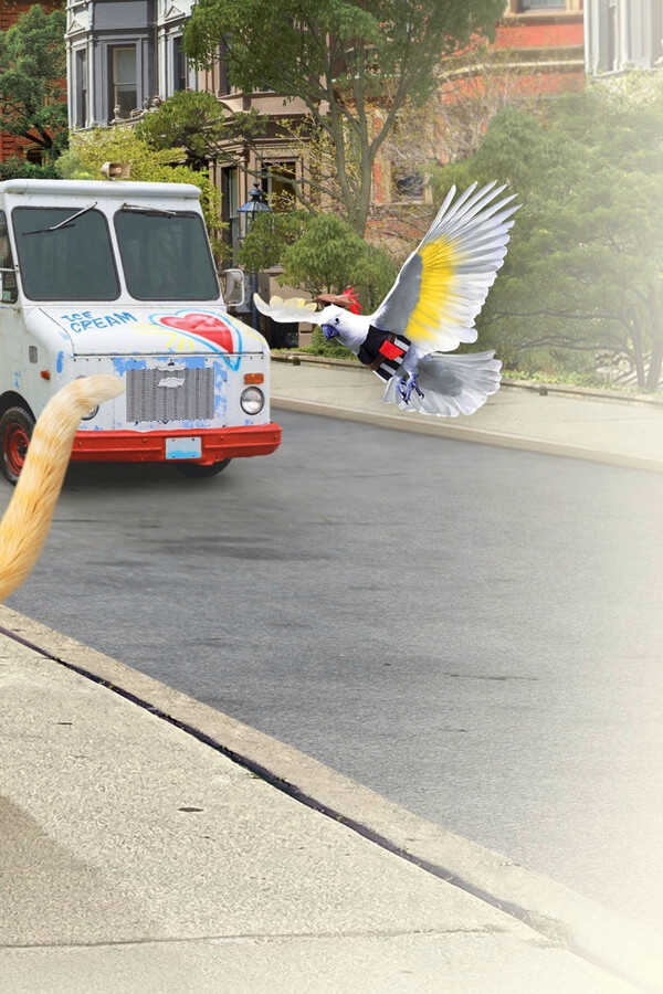 Como perros y gatos: La patrulla unida (2020) 0