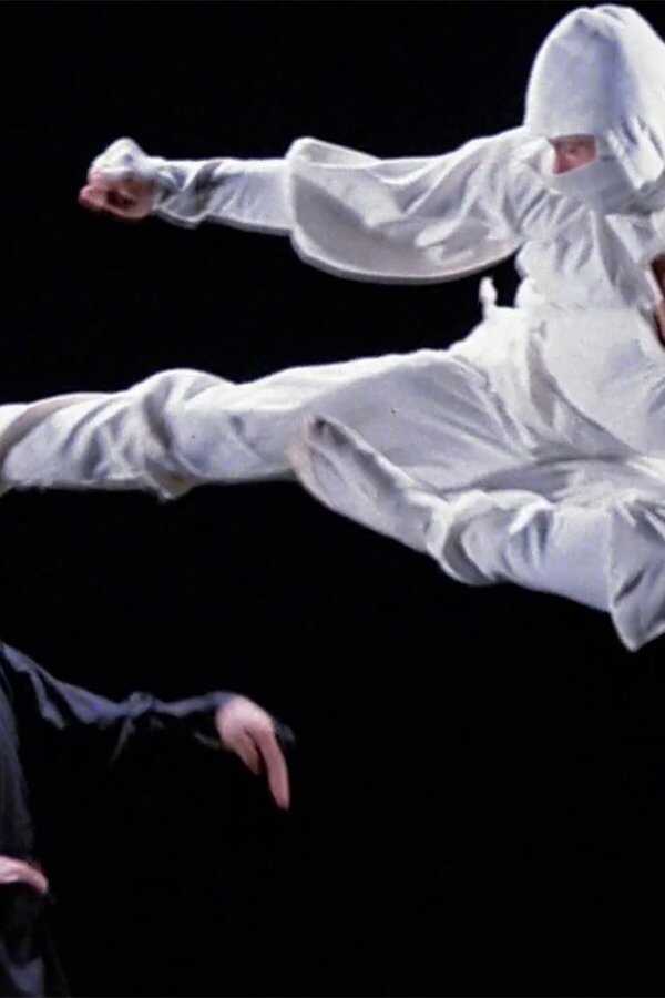 Enter the Ninja (1981) 0