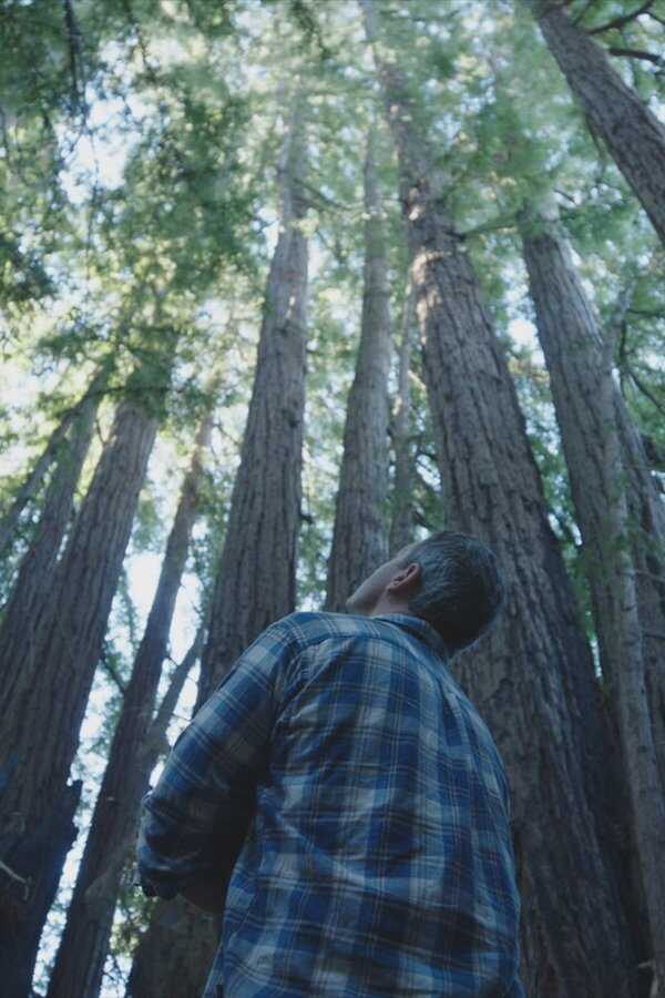 Drzewa i ich powiązania (2023) 0