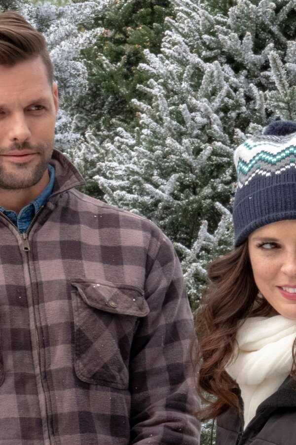 Last Vermont Christmas (2018) 0