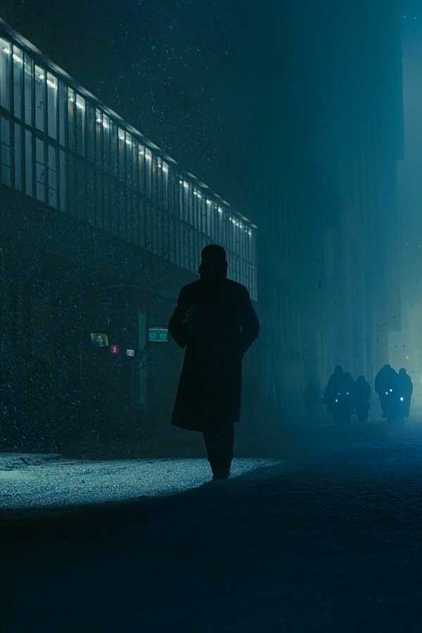 Blade Runner 2049 (2017) 0