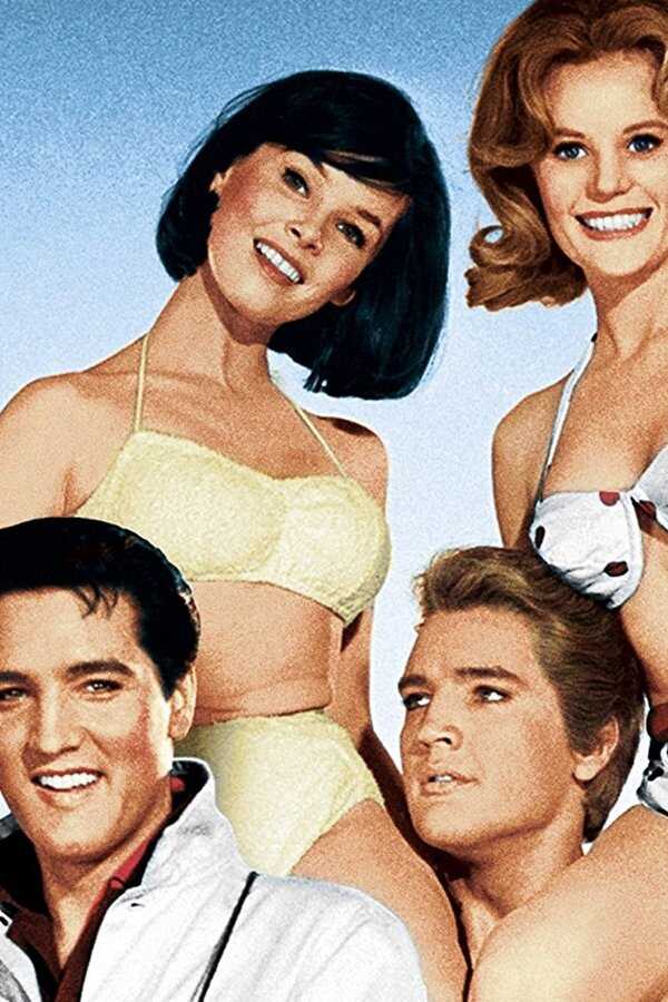 Salut les cousins! (1964) 0