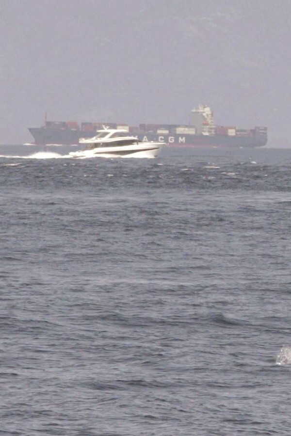 Orques de Gibraltar : D'étranges attaques (2024) 0