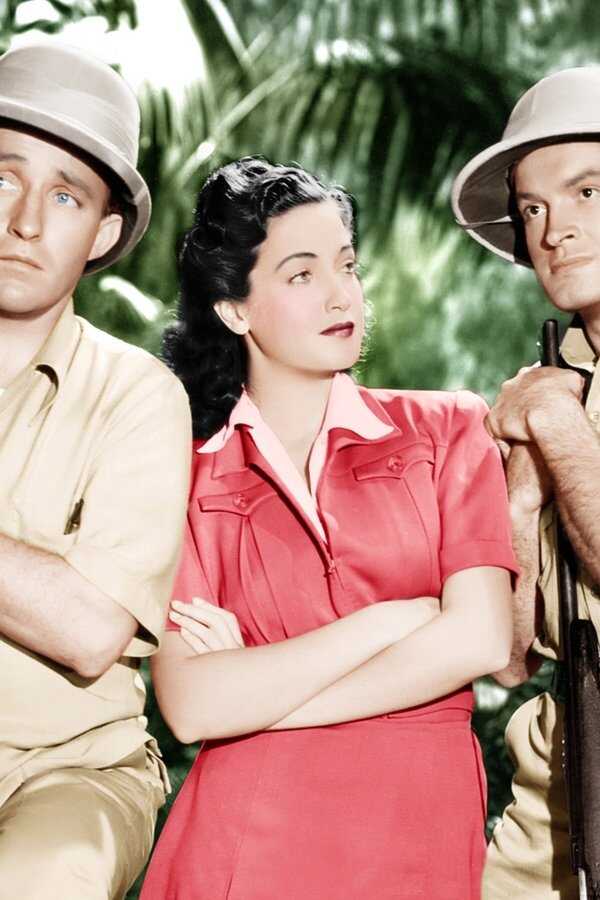 Road to Zanzibar (1941) 0