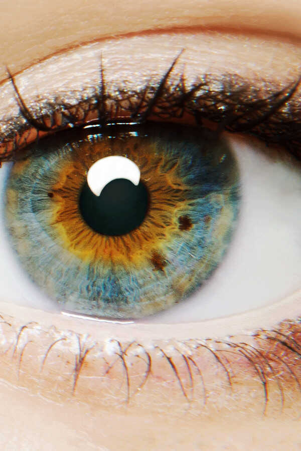 I Origins (2014) 0
