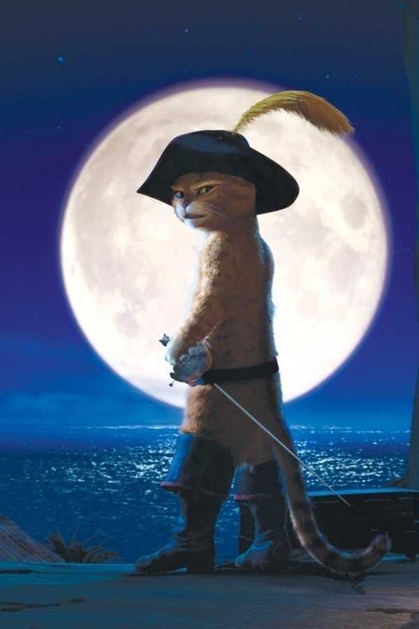 Puss in Boots (2011) 0