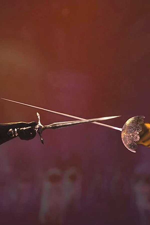 Puss in Boots (2011) 0