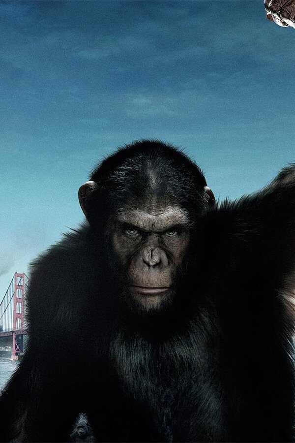 El origen del planeta de los simios (2011) 0