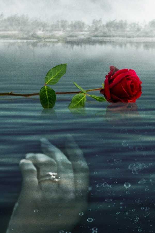 A Rose for Her Grave: The Randy Roth Story (2023) 0