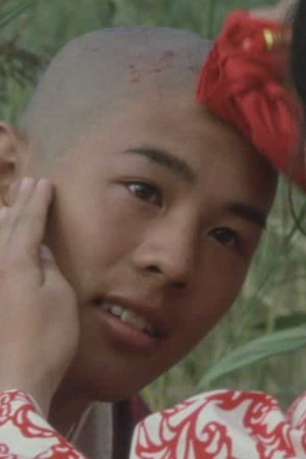 Shaolin Temple (1982) 0