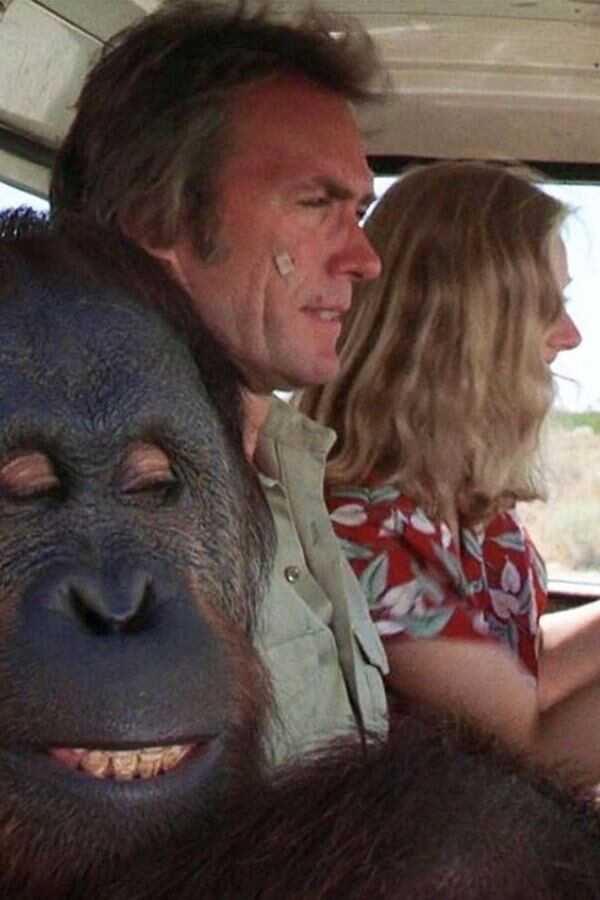 Any Which Way You Can (1980) 0