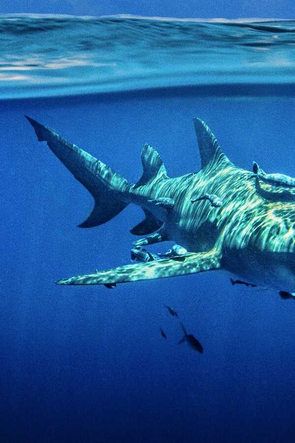 Tiburones desde el aire (2022) 0