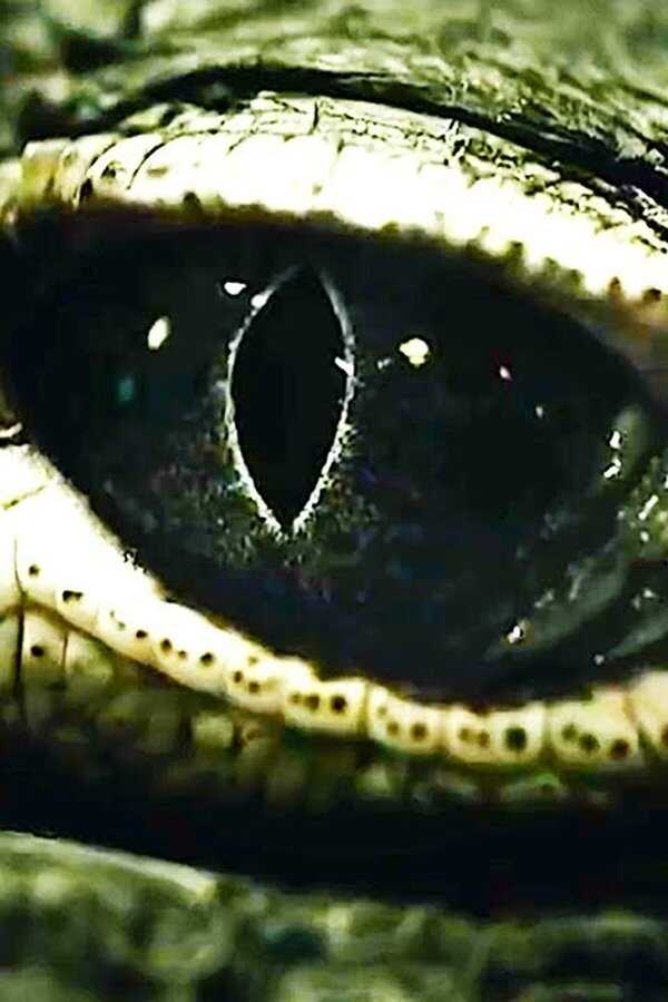 Saltwater: The Battle for Ramree Island (2021) 0