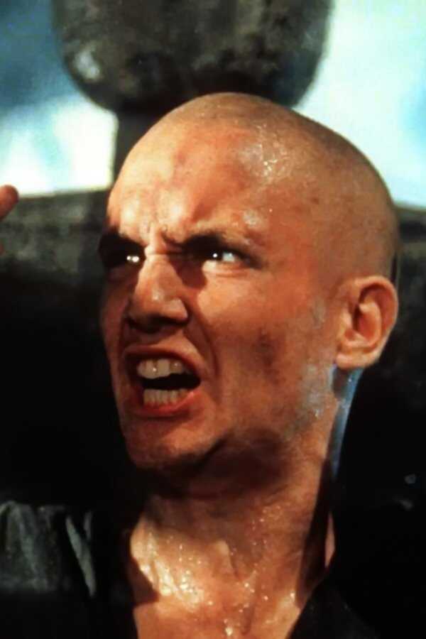 American Shaolin (1991) 0