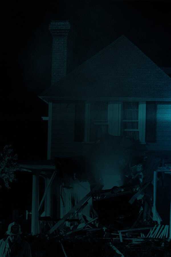 The Babysitter (2017) 0