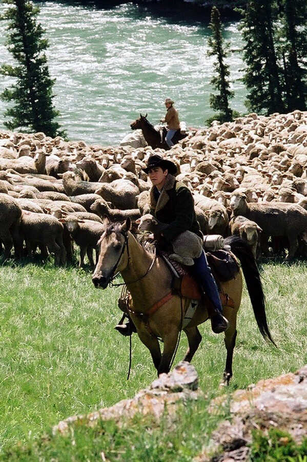 Brokeback Mountain (2005) 0