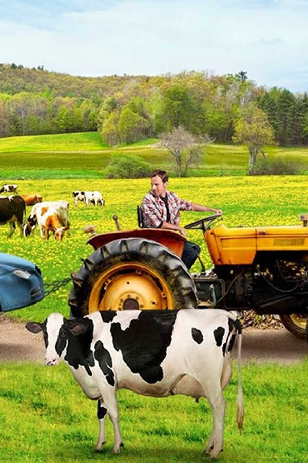 Finding Normal (2013) 0