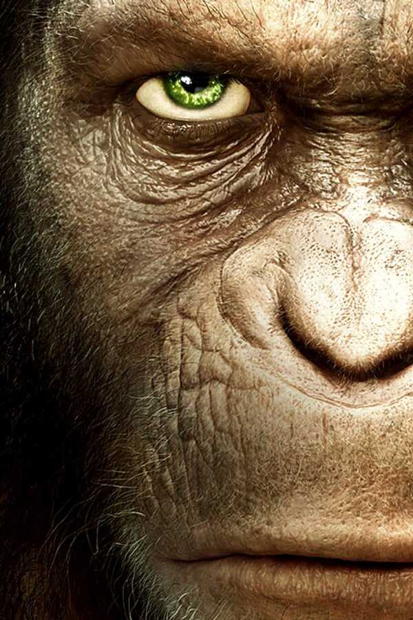 La Planète des singes : Les Origines (2011) 0