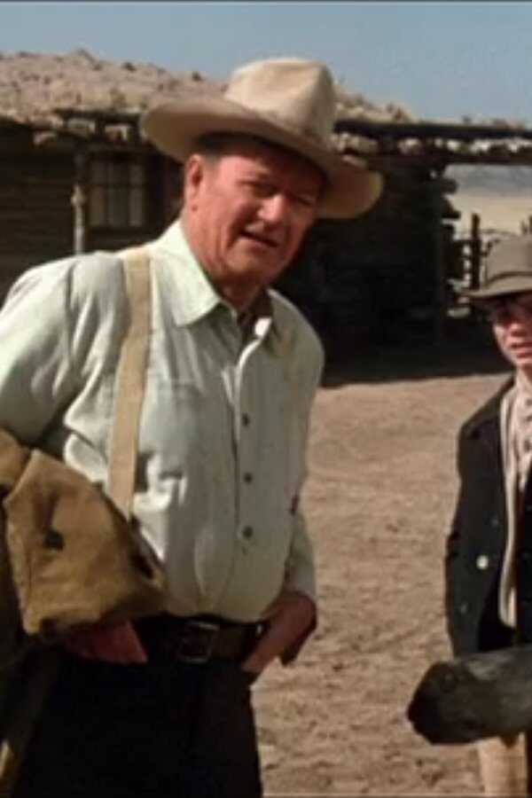 Die Cowboys (1972) 0