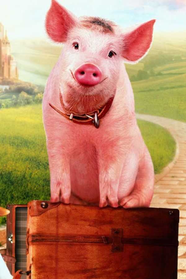 Babe: Pig in the City (1998) 0