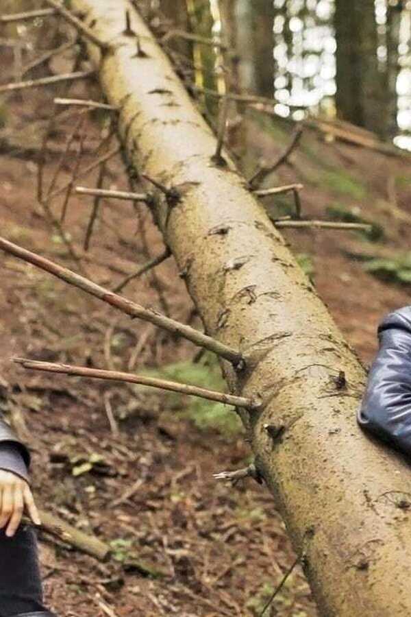 Eventyrland (2013) 0