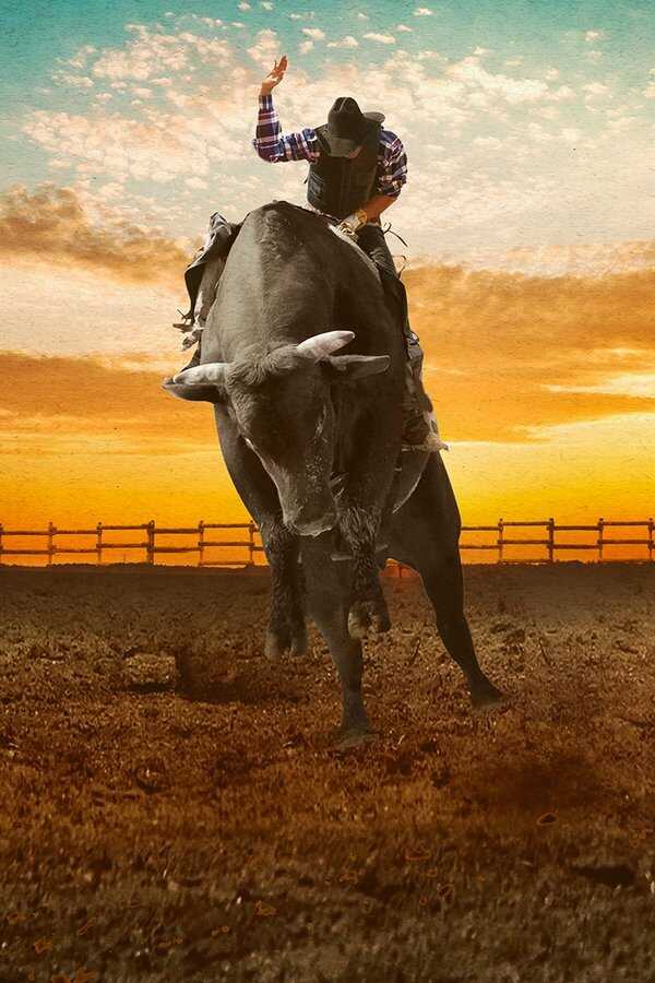 Cowboy & Indiana (2018) 0