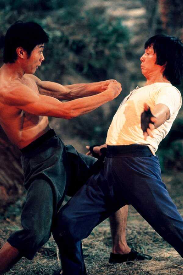 Mad Monkey Kung Fu (1979) 0