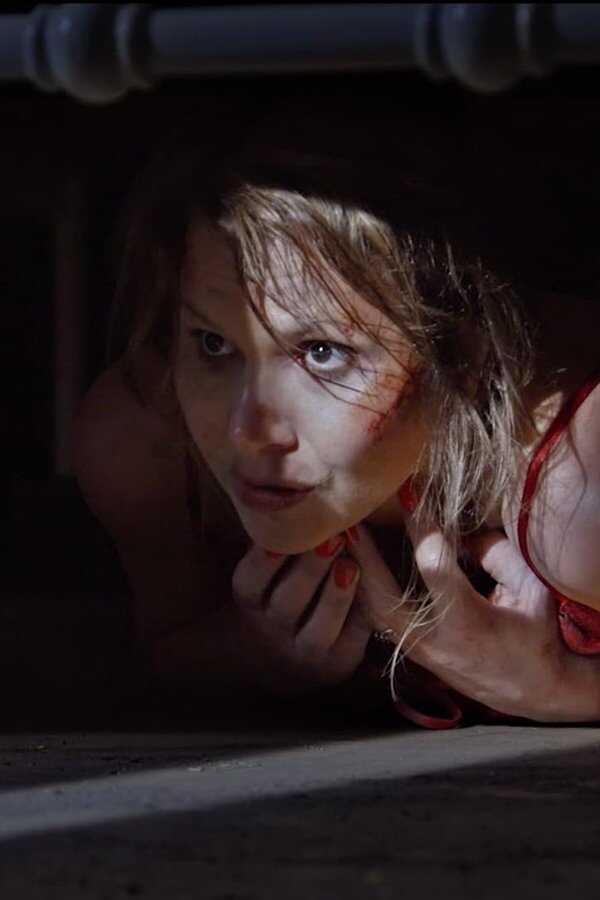 A Night of Horror Volume 1 (2015) 0