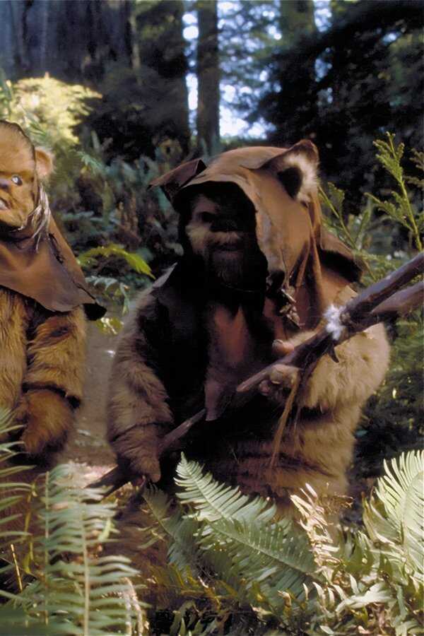 Star Wars: Ewok Adventures - The Battle for Endor (1985) 0