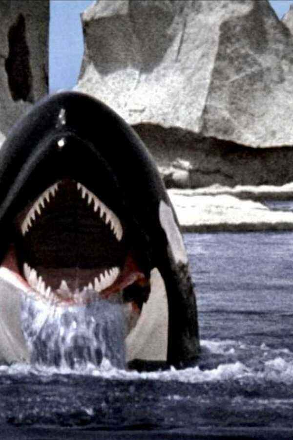 Orca (1977) 0
