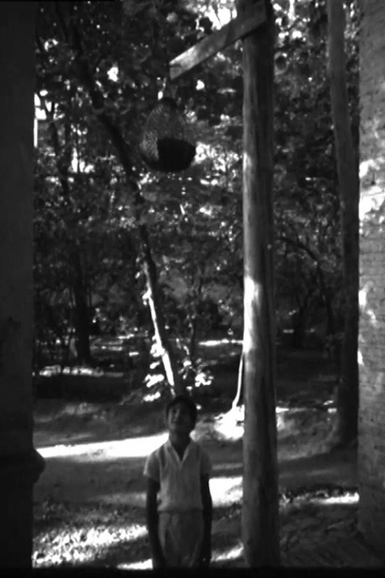 Badbade (1970) 0
