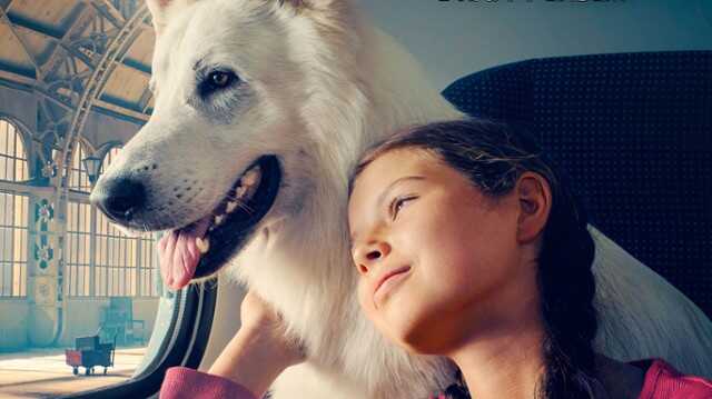 O psie, który jeździł koleją (2023) 0