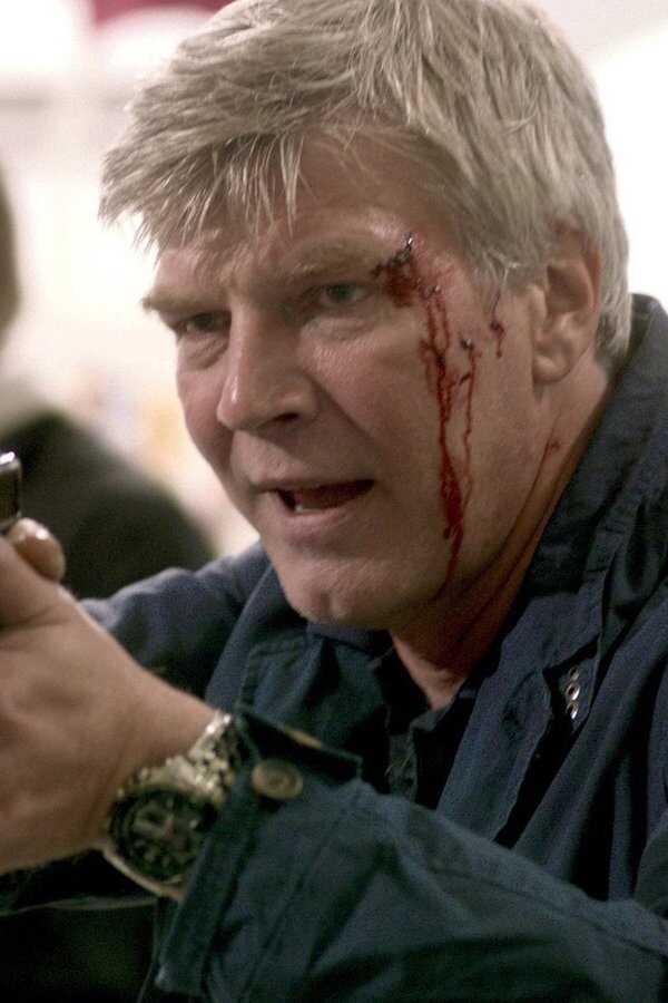 Johan Falk 12: Kodnamn Lisa (2013) 0